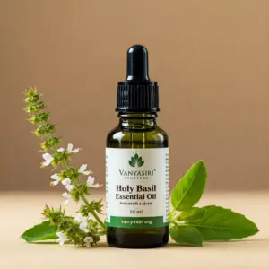 Holy basil (Tulsi) essential oil 10ml